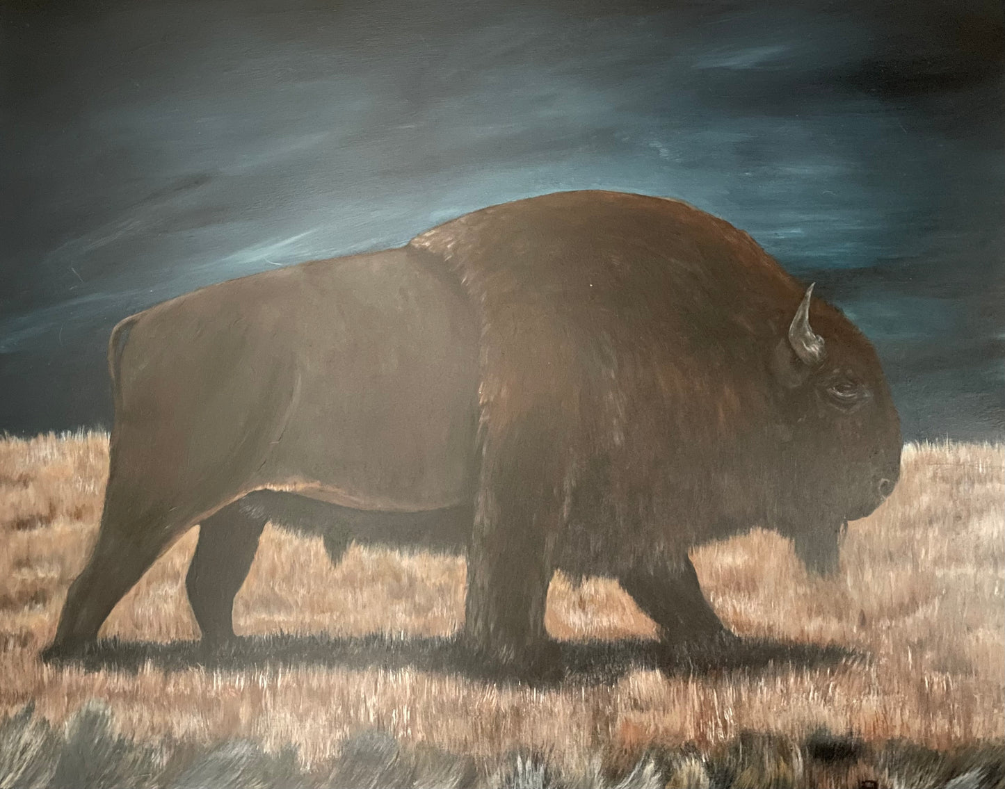 Bison painting