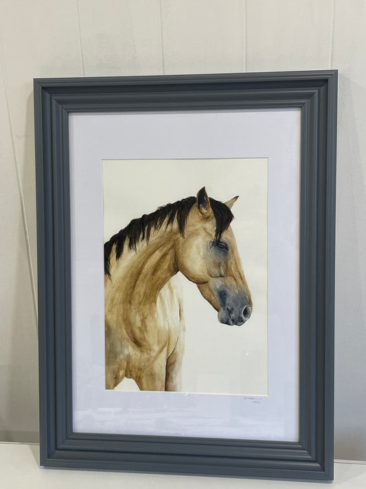 Horse framed watercolor